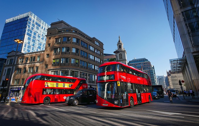 Bus (London)